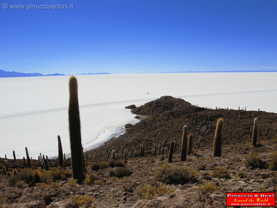 BOLIVIA 2 - Isla Incahuasi - 16.jpg